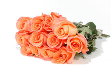 Rose Boquet 2 - Recital Blooms